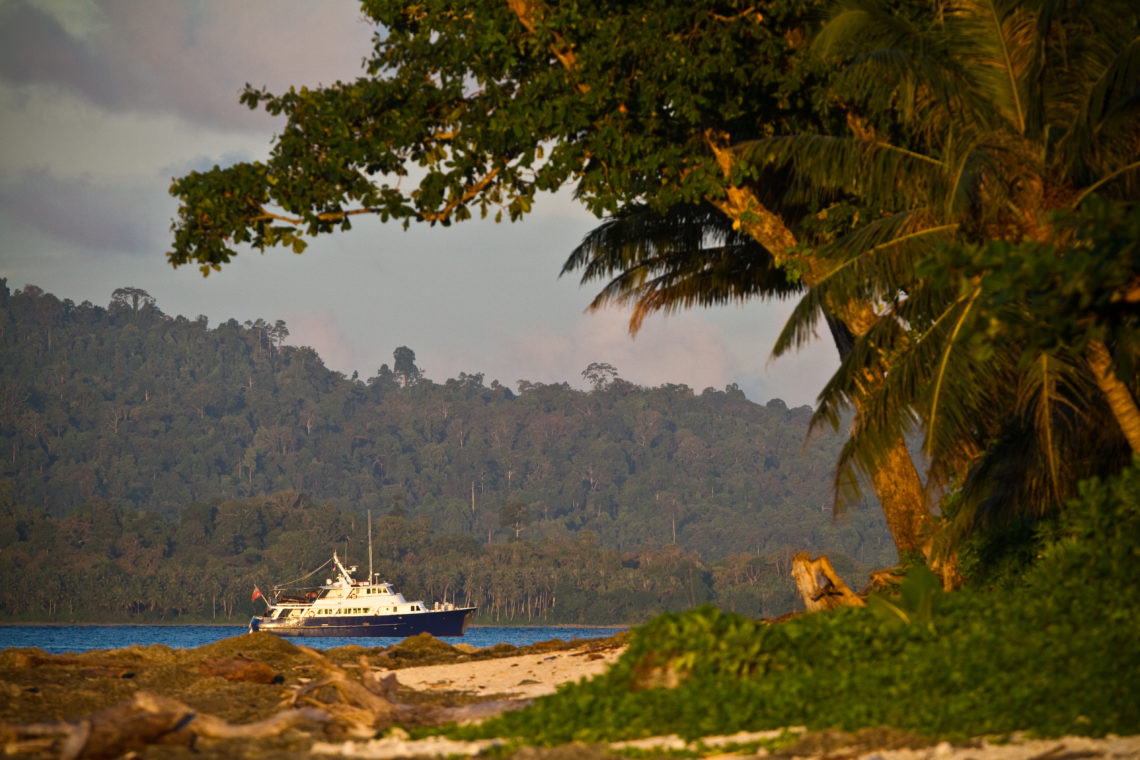 Indo boat trip in the Mentawai Islands