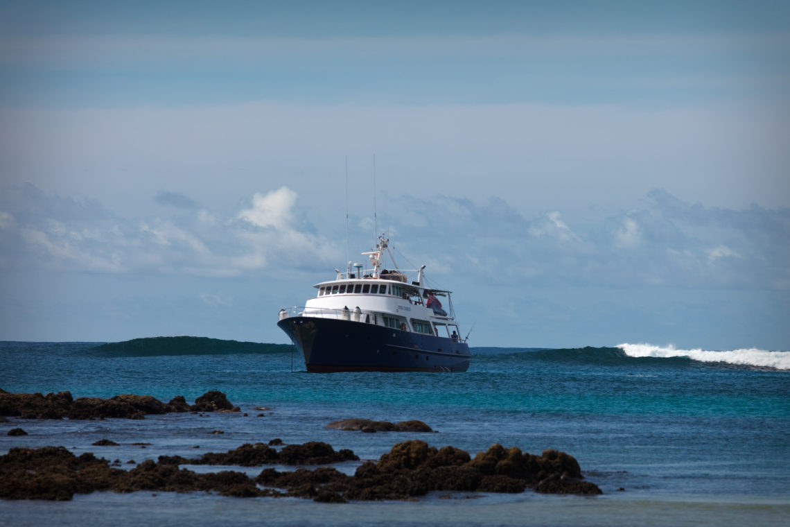 Indies Trader 3 exclusive charter in Mentawai Islands