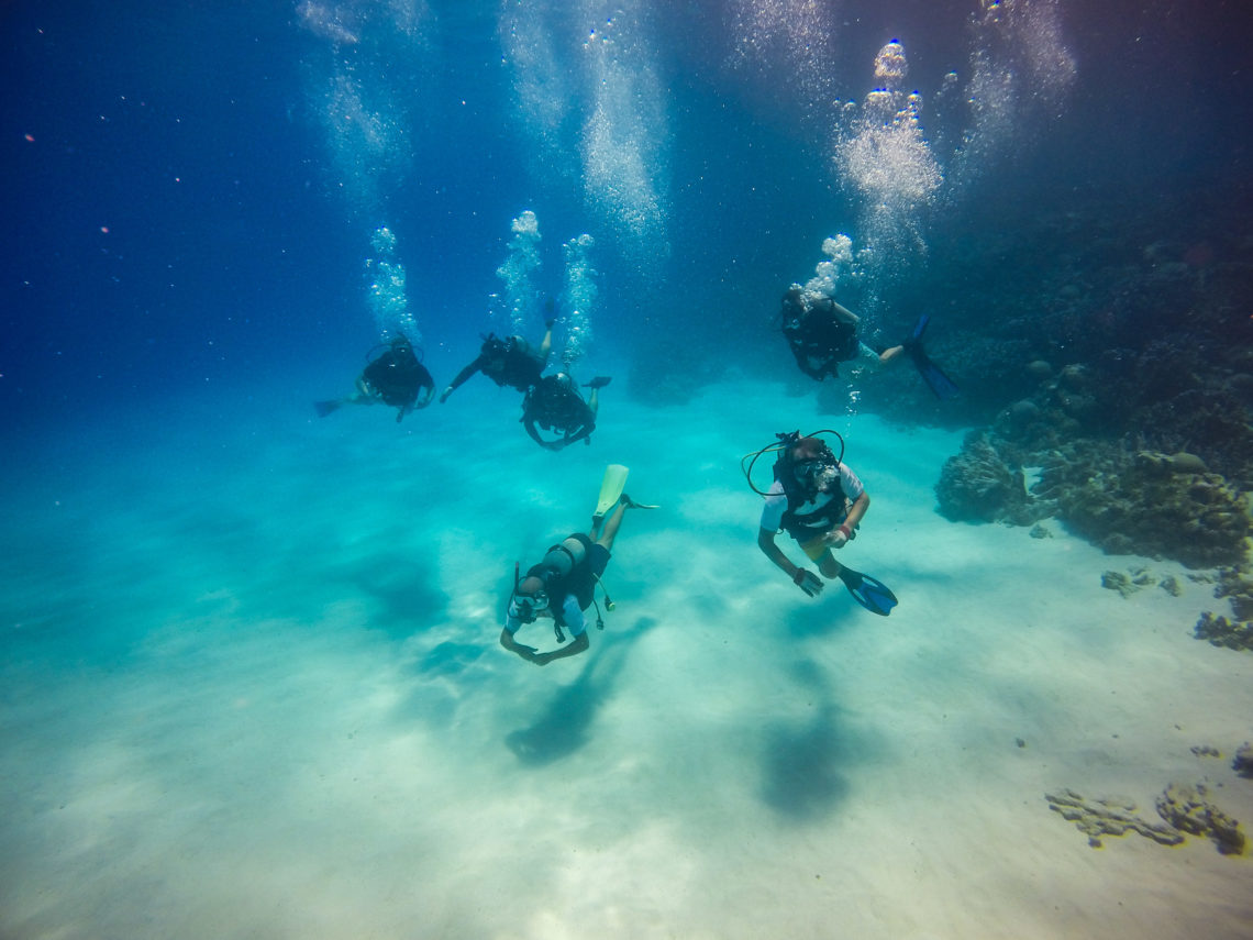 Free diving in Beran
