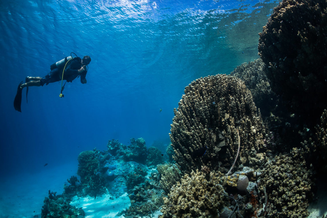 Exploring the reef in Beran