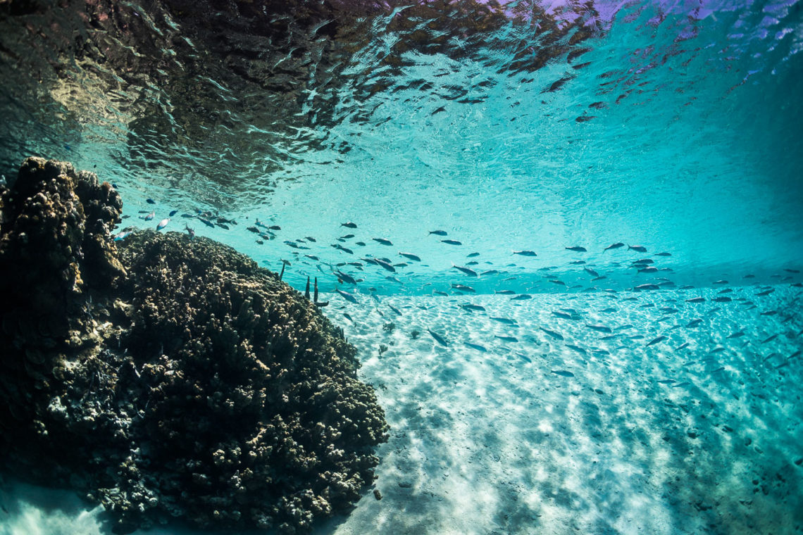 reefs around the dock of Beran