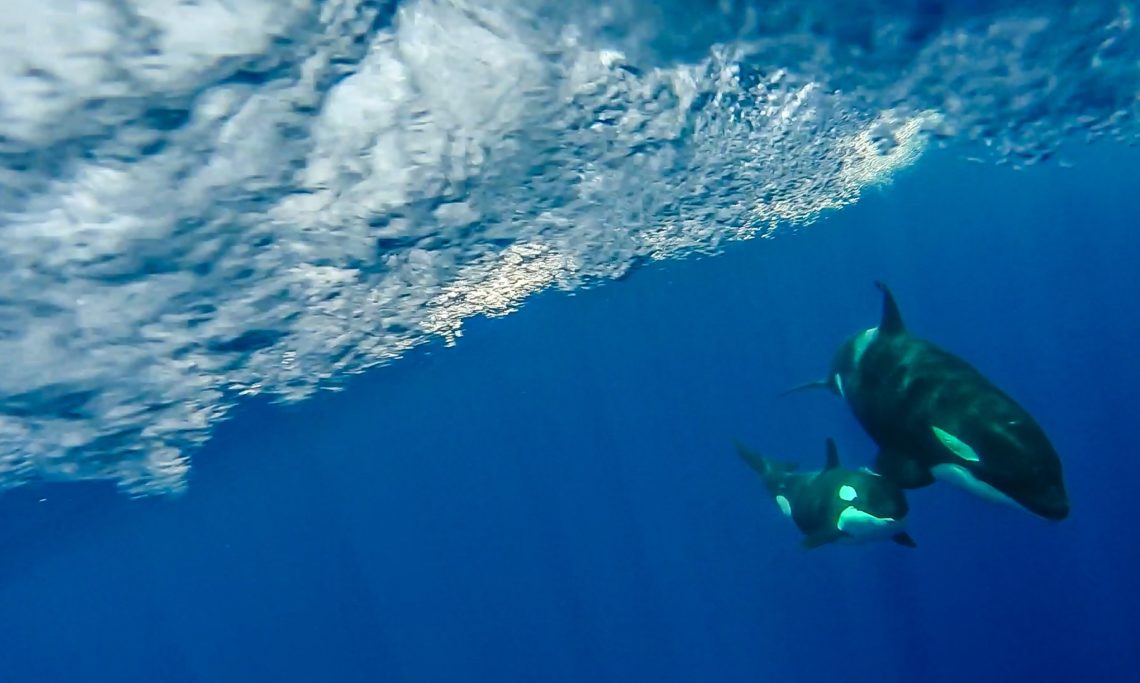 Scuba dive on the beach of Beran, Marshall