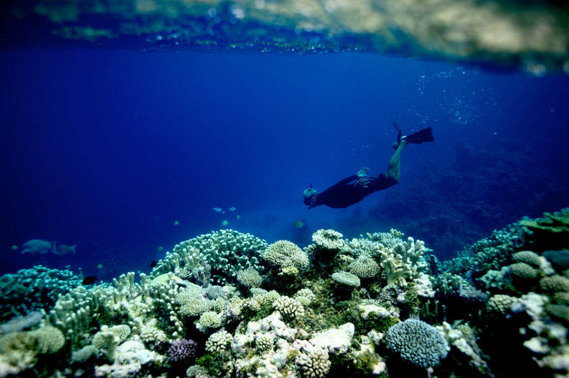 Snorkling in Beran