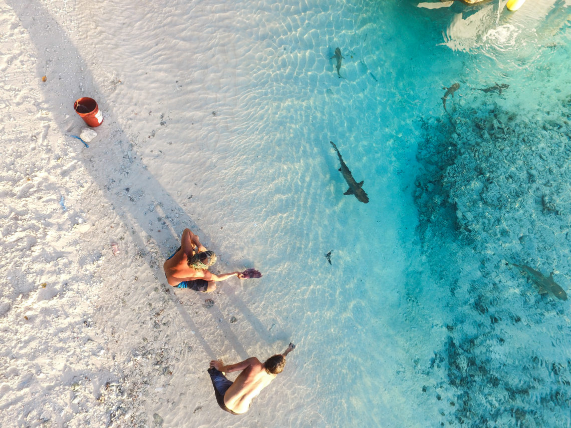 White sand beach of Beran