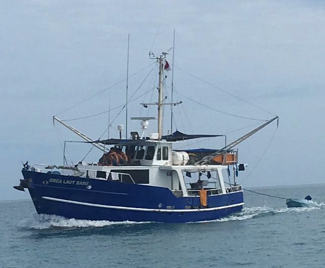 Orca Laut Surf Boat in the Mentwais Islands