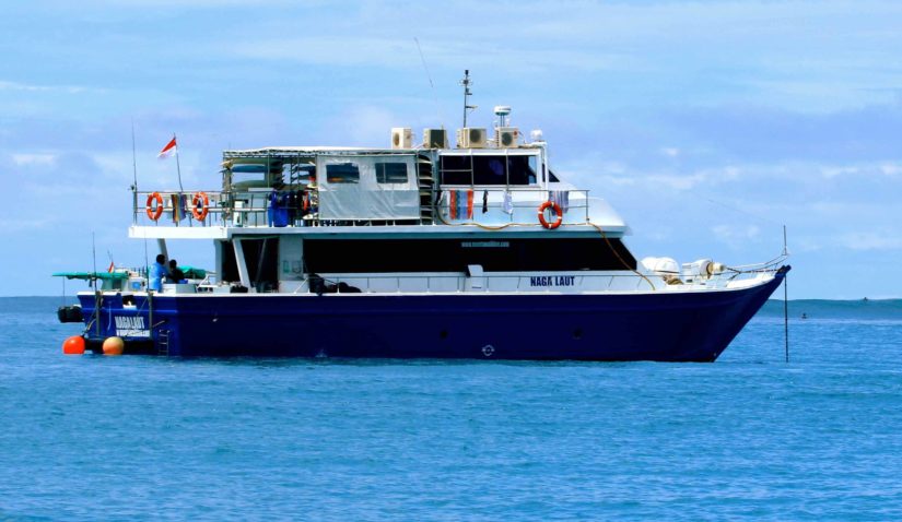 Naga Laut Surf Boat in the Mentwais Islands