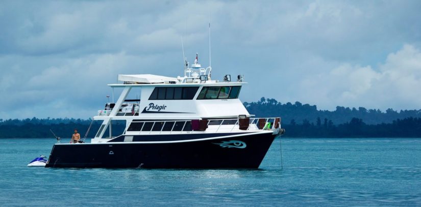 Pelagic Surf Boat in the Mentwais Islands